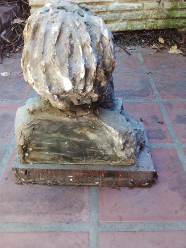 Escultura Busto Anciano Pensando (Usado)