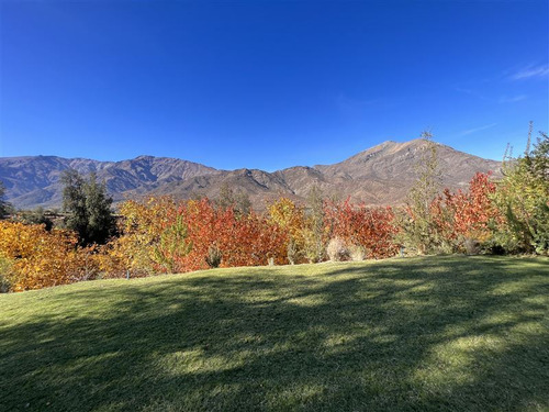 Parcela Agrícola La En Venta Con Nogales Y Casa