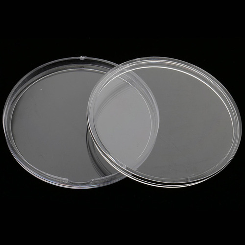 Protector De Monedas 55 Mm Claro 55 Mm