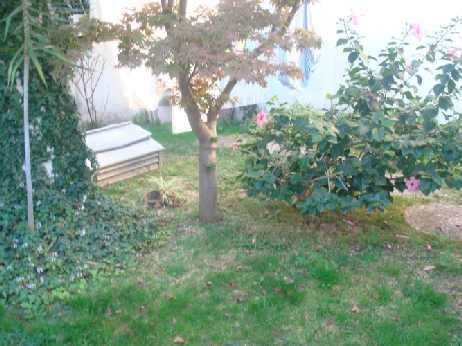 Imagen 4 de 14 de Chalet En Venta En Moron Sur