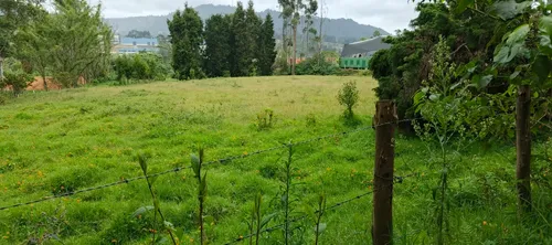 Vendo Lote En Guarne Vda Hojas Anchas