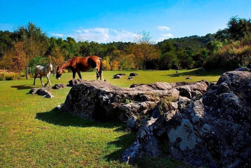 Venta De Hectarea Con Costa De Rio Camino A Athos Pampa -tlc0110