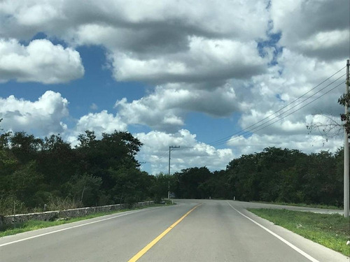 Imagen 7 de 8 de Lotes Residenciales A 15 Minutos De Merida. Con Planes De Financiamiento!
