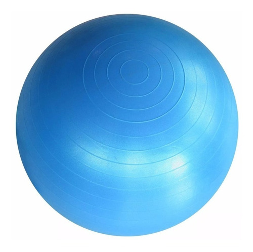Gym Ball Pelota Esferodinamia 95 Cm