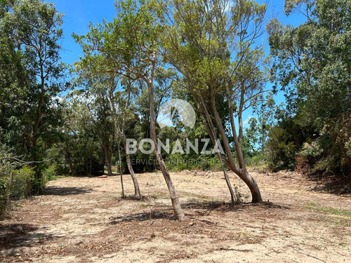 Imagen 4 de 11 de Terreno En Venta Con Muy Buena Ubicación En Punta Colorada, Piriápolis. A 1 Cuadra De La Playa.