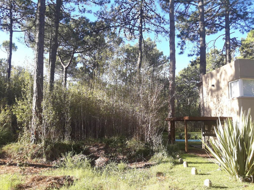Imagen 12 de 14 de Dueño Vende Lote 21*49=1.029 Metros-20 Pinos De Gran Altura