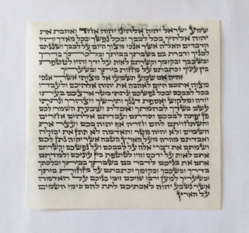 Pergaminho Klaf Para Mezuza Kasher Importado Israel 12 Cm