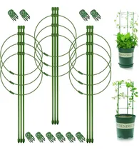 Comprar Paquete De 3 Jaulas De Soporte Para Plantas, Jaulas De Tomat