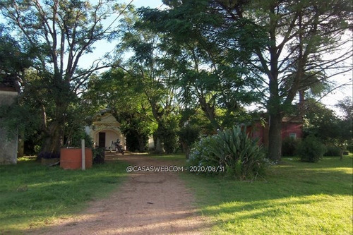 Muy Linda Chacra Casa Principal Y Otras Construcciones