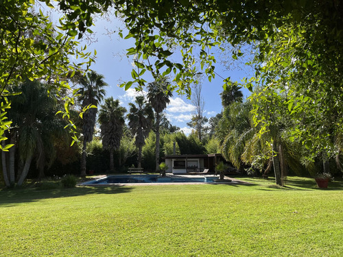 Venta De Casa En Barrio El Golf De Punta Del Este, Maravillosa Casa De Lujo