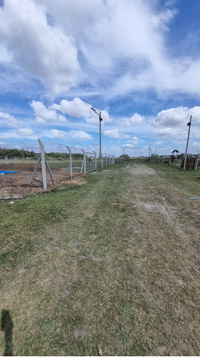 Terreno En Venta En Domselaar. Oportunidad