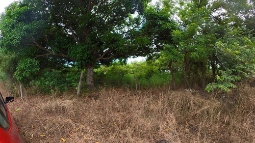 Terreno En Venta En Manlio Fabio Altamirano