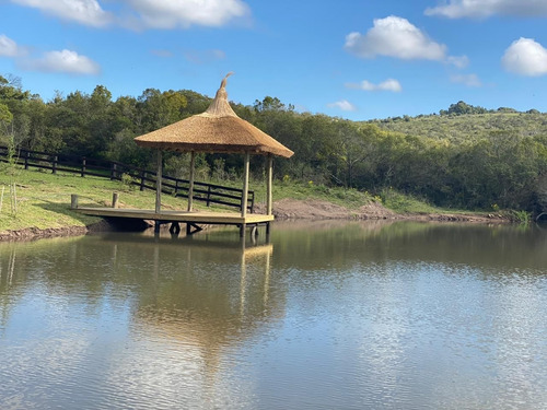 Imagen 14 de 17 de Quinta En Venta En Pueblo Eden