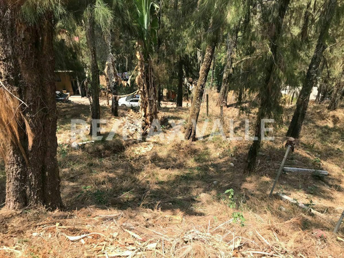 Imagen 1 de 8 de Terreno En Venta.