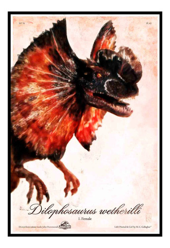 Cuadro Poster Premium 33x48cm Dilofosaurio Ark Jurassic Park