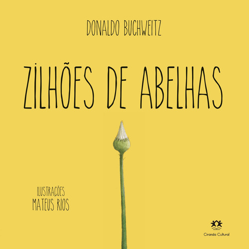 Zilhões de abelhas, de Buchweitz, Donaldo. Ciranda Cultural Editora E Distribuidora Ltda., capa mole em português, 2021