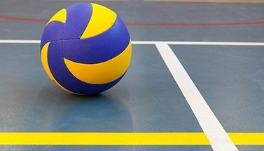 Pelota De Voley Reglamentaria (21,5 Cm De Diámetro) Voleybal