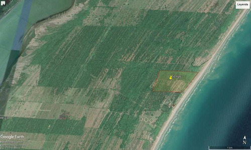 Venta Terreno 50 Hectareas Frente Playa Tamiahua Veracruz