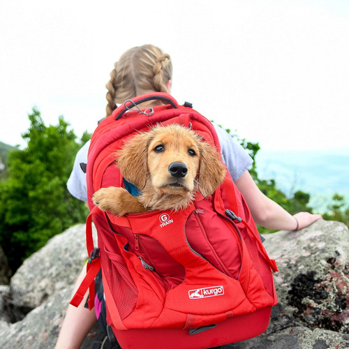 Kurgo G-train - Mochila Portabebes Para Mascotas Pequenas -