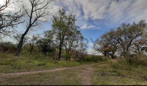 Campo Ganadero En Carcaraña. Con Quincho Y Casa