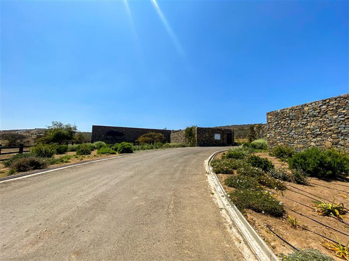Imagen 5 de 29 de Sitio En 3 Has En Venta - Catapílco, Zapallar