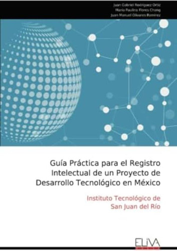 Libro: Guía Práctica Para El Registro Intelectual De Un De