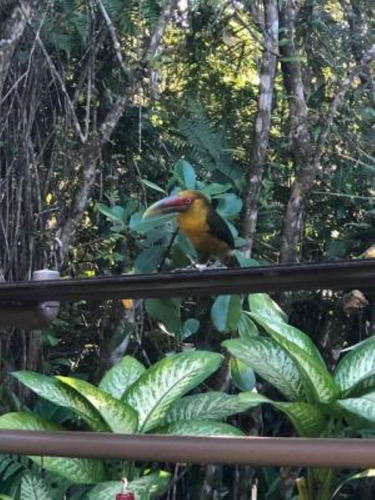 Imagem 23 de 28 de Chácara Na Praia De Itanhaém/sp! Com 4 Quartos, Piscina, Churrasqueira!