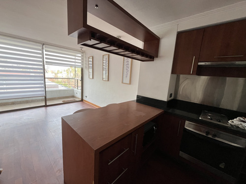 Arriendo Departamento 1 Dormitorio Providencia