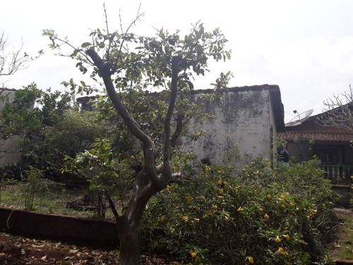 Imagem 11 de 24 de Chácara Formada Em Piracaia, Totalmente Plana Espaço Para Piscina E Campo De Futebol. - Ch0067