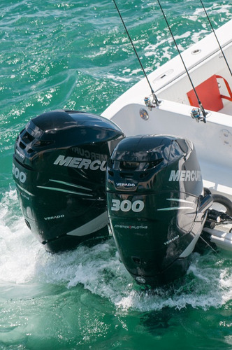 Imagen 10 de 14 de Motor Mercury Fuera Borda 15 Hp 4 Tiempos Tanque Garantia