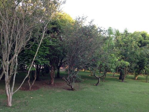 Imagem 20 de 30 de Chácara À Venda, 3300 M² Por R$ 1.200.000,00 - Horizonte Azul - Itupeva/sp - Ch0103