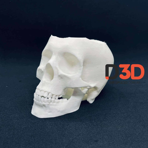 Imagen 2 de 8 de Mate Calavera