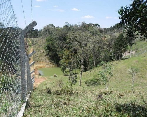 Chácara A Venda No Bairro Pamitalzinho Em Quatro Barras - - 5456-1