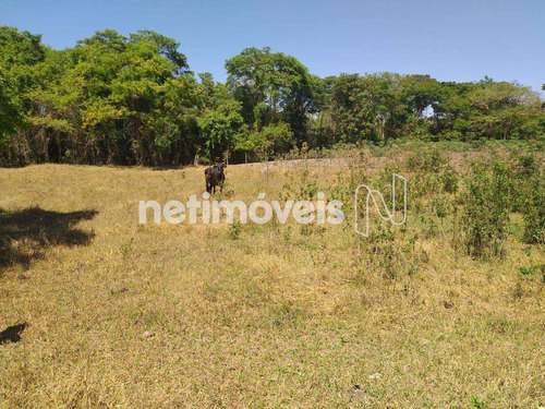 Imagem 23 de 30 de Venda Chácara Zona Rural São Sebastião - 794340