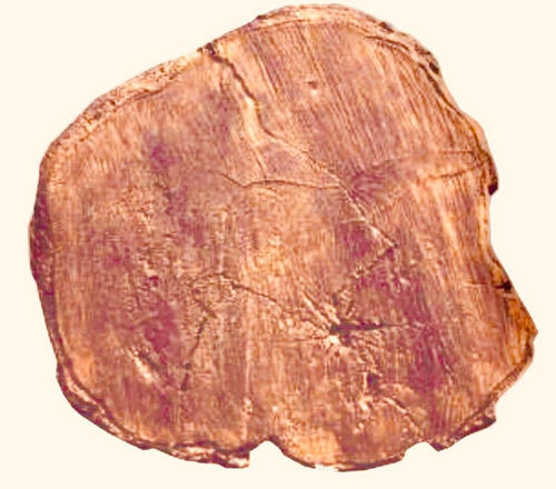 Molde/forma Pisante Tipo Madeira Abs 1,5mm 43x40x4cm