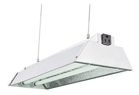 Durolux Dl822 N T5 2 Ft 2 Lamparas Fluorescentes Crecer Sist