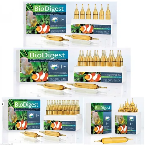 Prodibio Biodigest Cepa De Bacterias Duce Marino 30 Ampollas