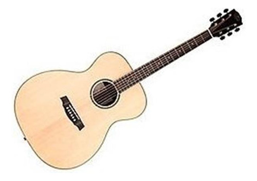 Prodipe 6 cuerdas Guitarra Clásica (sga 100)