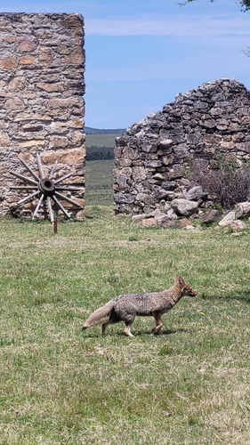 Chacras De 5 Hectarias Maldonado