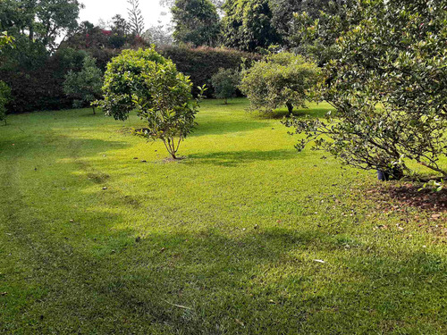 Imagen 3 de 14 de Venta Finca En Rionegro,pontezuela,independiente 1 Nivel
