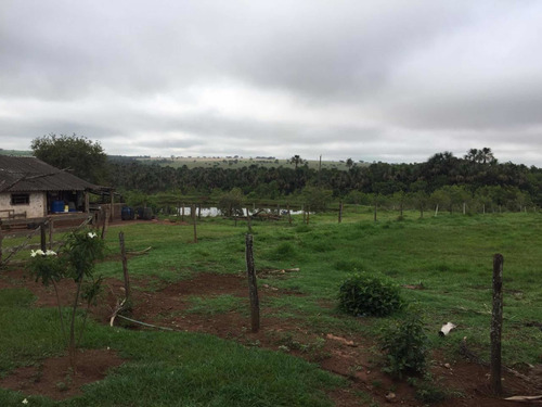 Imagem 4 de 4 de Fazenda Dupla Aptidão Município Prata