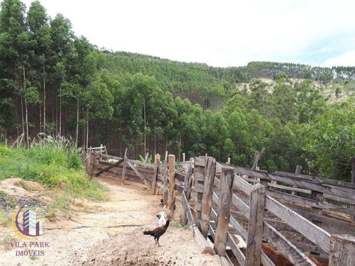 Imagem 21 de 30 de Sítio À Venda, 527314 M² Por R$ 1.750.000,00 - Chácara Brumado - Amparo/sp - Si0003