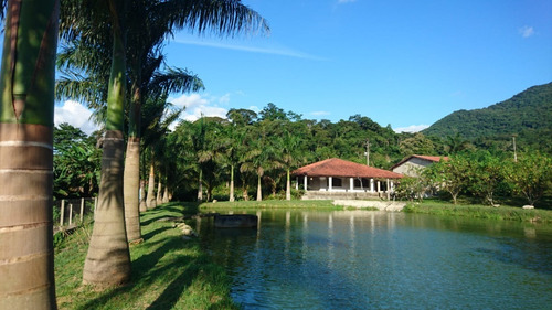 Imagem 2 de 12 de Juquiá / Belo Sitio Com Lago/ac/propostas/ref:05351