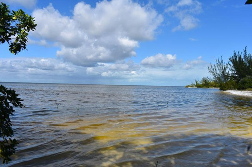 Imagen 4 de 10 de Terreno En Venta Isla Blanca En Laguna Chacmuchuc Cancún