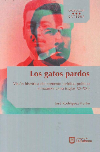 Libro Los Gatos Pardos De José  Rodríguez Iturbe