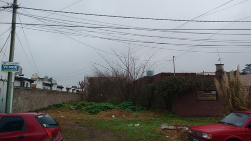 Imagen 1 de 1 de Lote