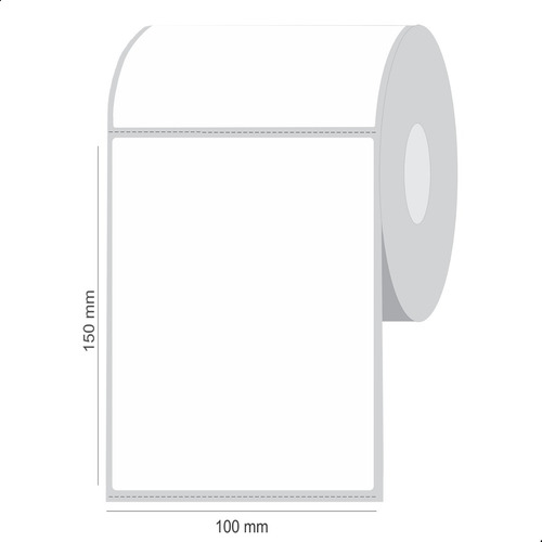 10 Rolos Etiquetas Térmica 10x15 (100x150) Zebra Elgin Argox Cor Branco