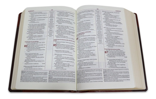 Biblia De Estudio Ryrie Ampliada Rvr1960 Duo-tono Marrón