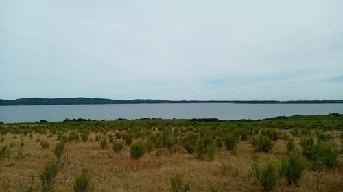 Imagen 4 de 5 de Sobre La Laguna Del Sauce!!!