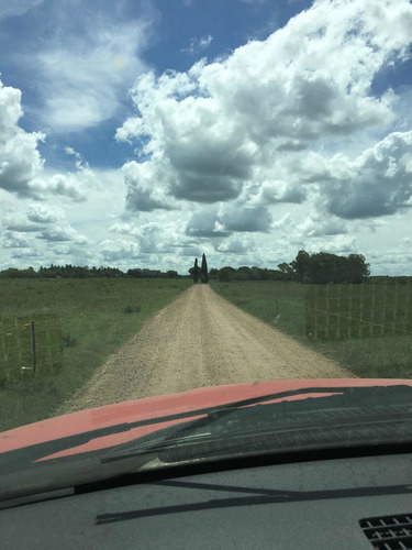 Dodge Ram 5.9 2500 I D/cab 4x4 2006